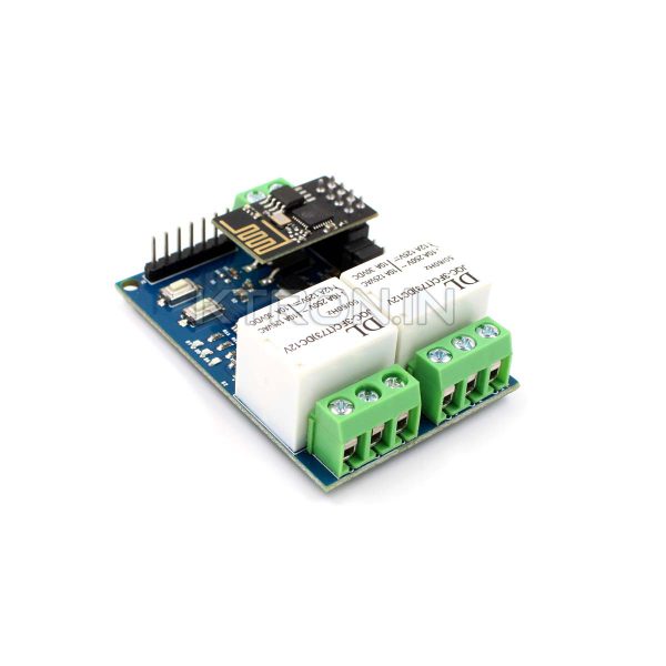 12V 2-channel IoT relay module