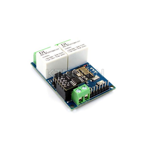 12V 2-channel IoT relay module